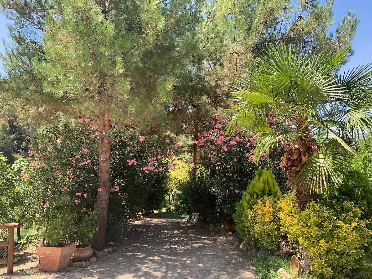 Cortijo La Julia Holiday home Orcera Spain